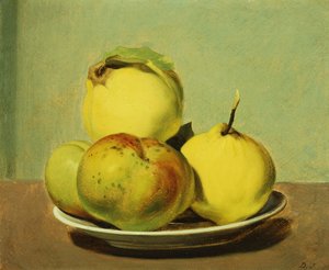 Schale mit Äpfeln und Quitten