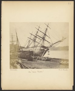 Die "Jane Tudor"