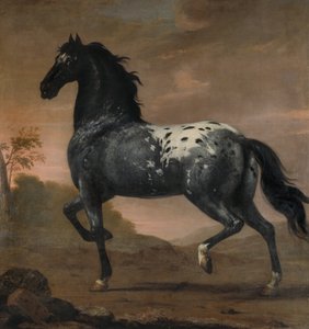 Pferd von Karl XI., Blå Tigern, 1673