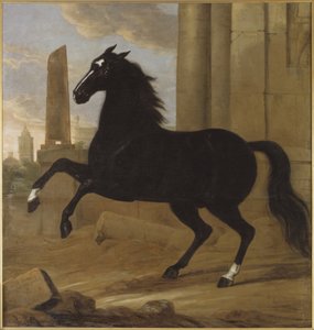 Liebling von David Klöcker Ehrenstrahl