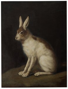 Hase von David Klöcker Ehrenstrahl