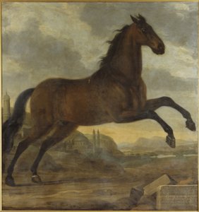 Karl XI:s Leibpferd Sultan von David Klöcker Ehrenstrahl