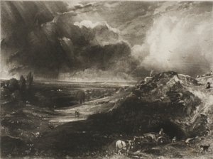 Eine Heide