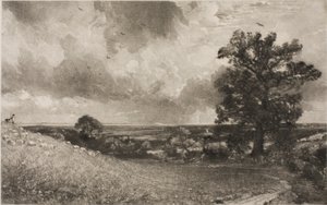 Mittag von David Lucas