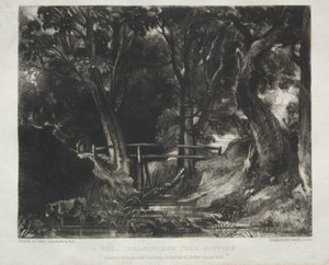 Verschiedene Landschaftsmotive, charakteristisch für englische Szenerien aus Bildern von John Constable, R.A.: Schlucht in den Wäldern von Helmingham Park, Suffolk von David Lucas