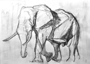 Afrikanischer Bullelefant