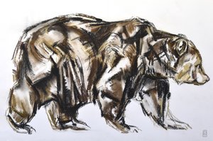 Braunbär läuft