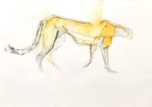 Gepard