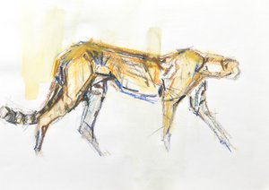 Gepard, 2020