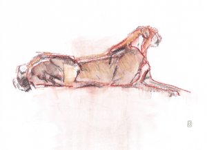 Gepard aufmerksam von David Mayer