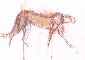 Gepardenjagd, 2019 von David Mayer