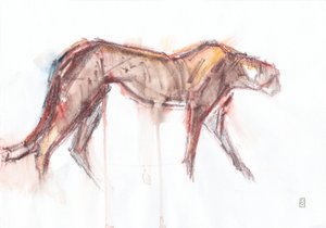 Gepardenjagd, 2019 von David Mayer