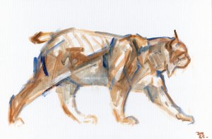Luchs, 2022 von David Mayer