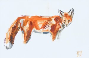 Roter Fuchs, 2022
