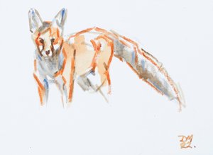 Rotfuchs, 2022