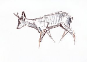 Rehbock