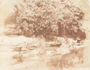 Burnside, Fife Insel im Almond River, 1843-47 von Hill and Adamson