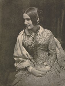 Camera Work: Dame im geblümten Kleid, 1912