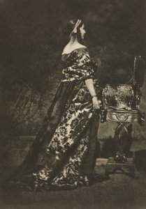 Porträt - Das Kleid und der Sarg von David Octavius Hill