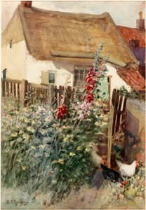 Der Garten von David T. Robertson