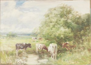Der schattige Teich von David T. Robertson