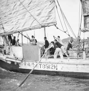 Ein sehr naher Seitenansicht des Hongkonger kleinen Händlers T3512H, der in Sham Shui Po, Hongkong, gerudert wird von David Watkin Waters
