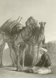 Eine Gruppe von Kamelen in Smyrna von David Wilkie