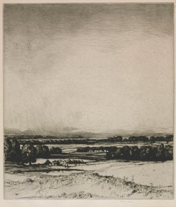 Tal des Tay von David Young Cameron
