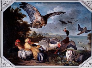 Vögel, erschreckt von einem Adler
