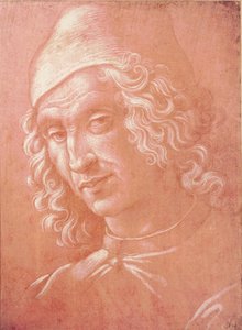 Kopf eines Mannes (Silberstift auf Papier)