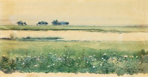 Landschaft mit Sümpfen