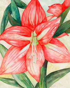 Amaryllis, 2005 von Deborah Eve Alastra
