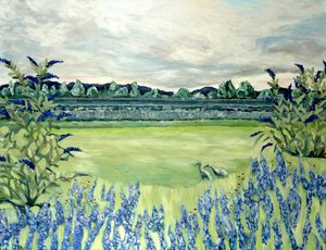 Lavendelfelder, 2015