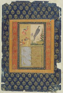 Vogelstudie und Kalligraphie, Golconda, Andhra Pradesh, 1570