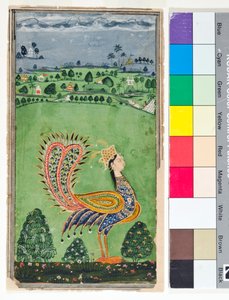 Mythischer Pfau mit einem Frauenkopf