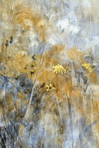 Abstrakte Wiesenblumen