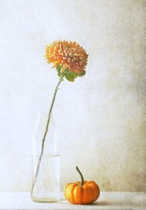 Herbstmutter und Kürbis