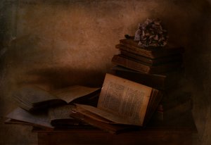 Dunkle Akademie Bücher von Delphine Devos