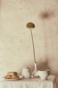 Getrocknete Blume und Gebäck von Delphine Devos
