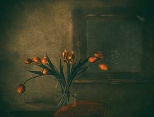 Stimmungsvolle orangefarbene Tulpen von Delphine Devos