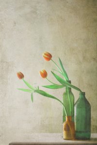 Orange Tulpen in Flaschen