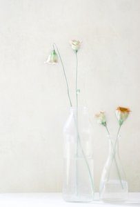 Blasse Blüten im Glas
