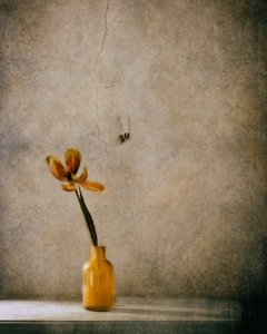 Rustikale Blüte und Biene von Delphine Devos