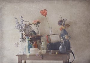 Sentimentale Vintage-Funde von Delphine Devos