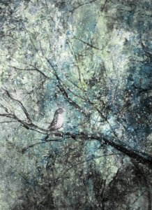 Gelassener Wintervogel von Delphine Devos