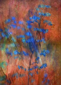Strukturierter Blauer Blumetraum