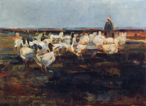 Gänseherde auf der Weide