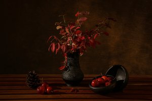 Dunkles Herbst Stillleben