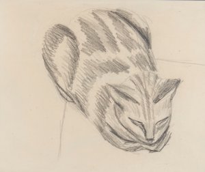 Schlafende Katze