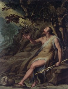 Johannes der Täufer in der Wildnis